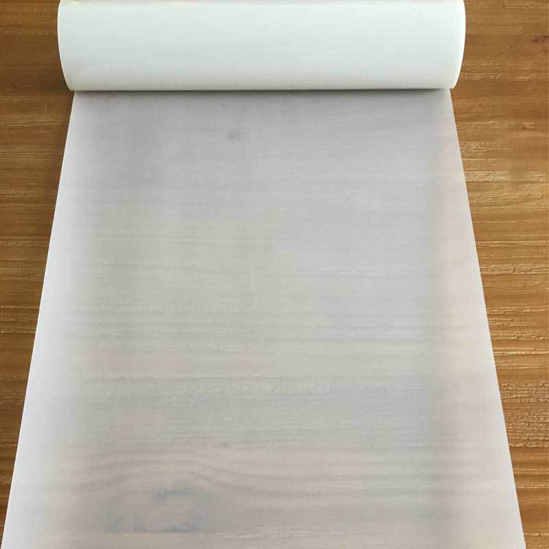 华体会平台-华体会(中国)植珠转印膜（不镀铝）